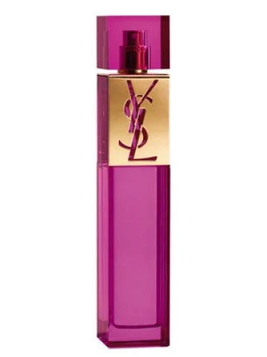 طر Elle Yves Saint Laurent للنساء