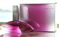عطر كالفن كلاين الجديد للنساء