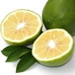 Bergamot