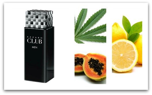 عطر ازارو club الرجالي الجديد