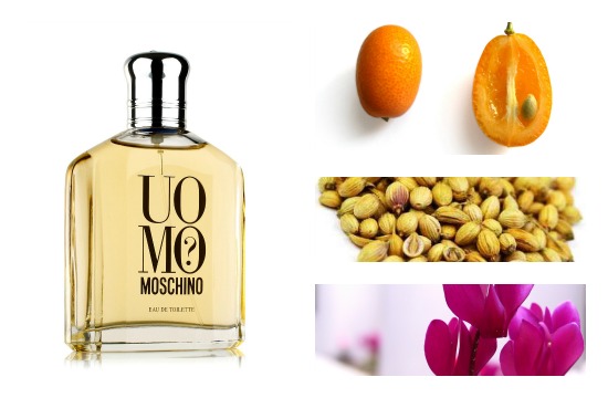 Uomo Moschino perfume notes