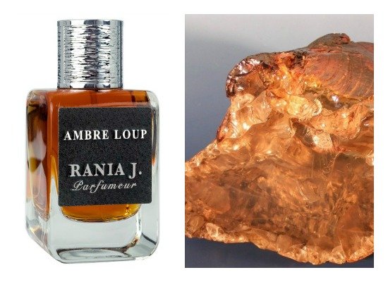 Ambre Loup Rania Jouaneh