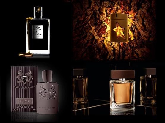 عطور التبغ 