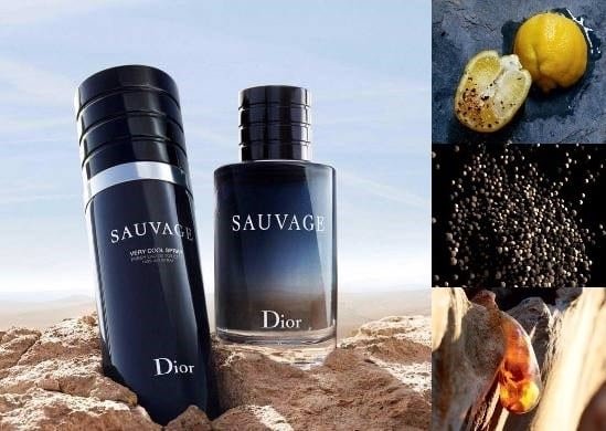 ديور سوفاج فيري كوول سبراي