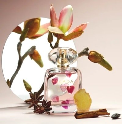 عطر سليبريت ناو من إسكادا